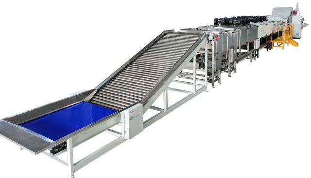 Orange Grading Machine