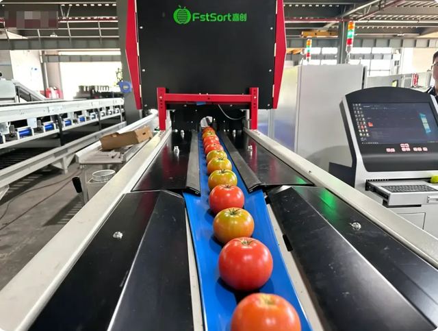 Tomato Optical Sorter