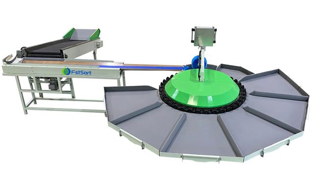 Peach Sorting Machine