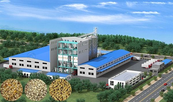 Feed Mill Plant Layout Design: Best Practices for Efficient Feed Production