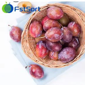 Ciruelas chilenas: mercado, exportación y clasificación poscosecha