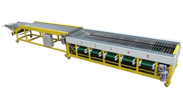 Longan Grading Machine