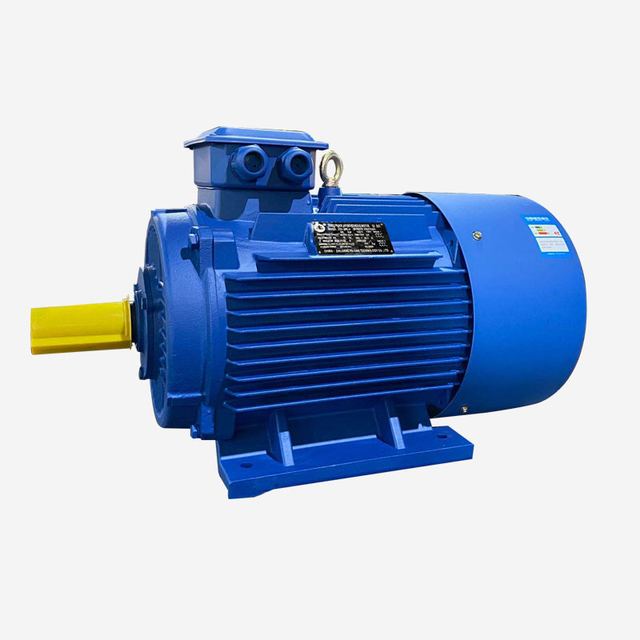 Premium Quality Three-Phase AC Motors for Heavy-Duty Applications-CAST IRON MOTORS-ZHEJIANG YILONG Tech