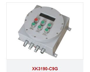Explosion-proof instrument