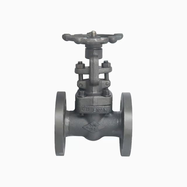 API6D DN20 DN50 150LB Flange ASTM A105 Forged Steel Gate Valve
