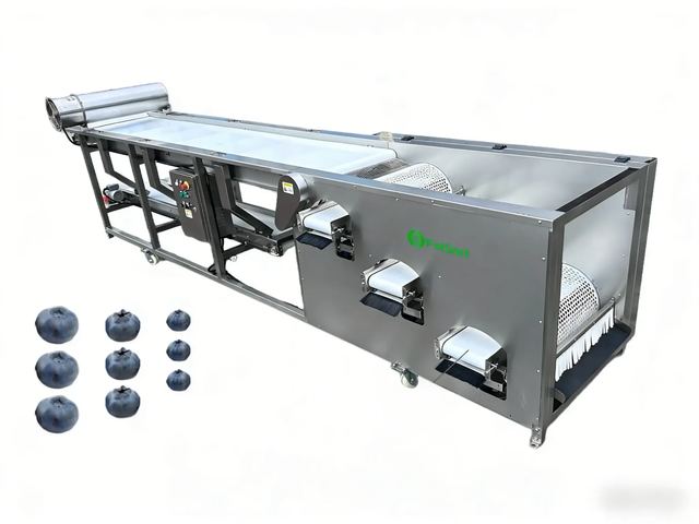 Blueberry Grading Machine