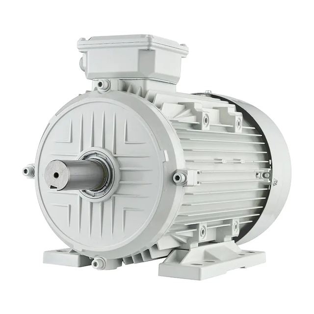 IEC/IE2 High Efficiency Motor