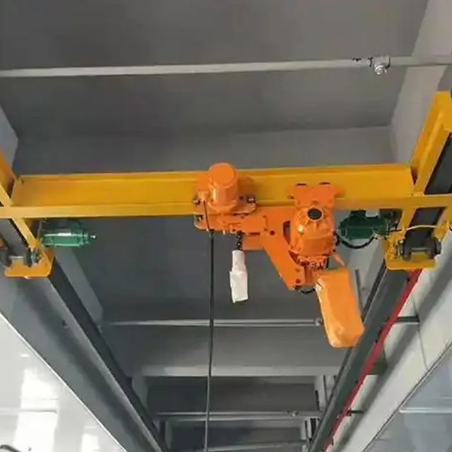 Ceiling Crane