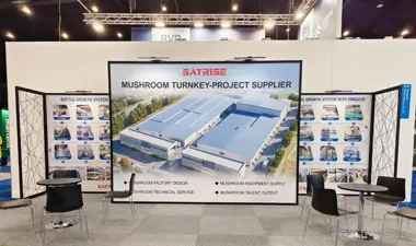 How Steam Generators and Boilers Power Reliable Mushroom Sterilization