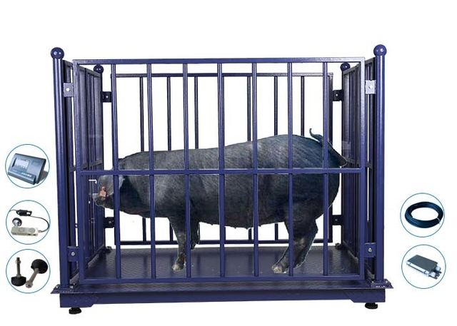 Digital Zemic LCD Cattle Weighing Scales Stainless Steel