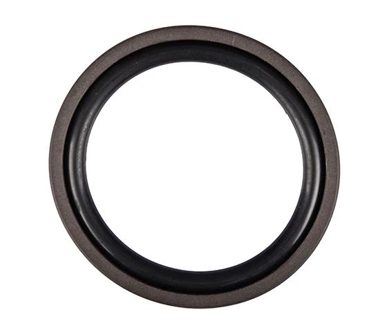 Hydraulic Rod Seal
