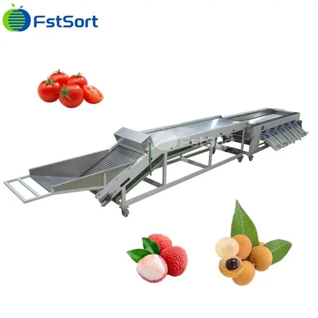 Máquina Clasificadora de Longan