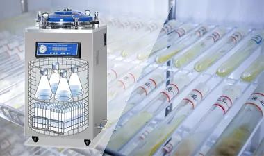 How Satrise Delivers Turnkey Sterilization Systems for Mushroom Farms