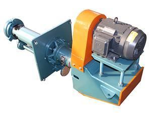Vertical Sump Pump