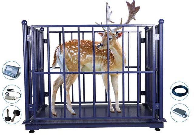 2*3M Digital 10T Cattle Weighing Scales With Frame