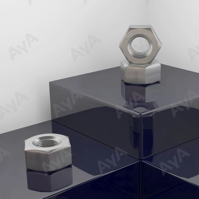 Stainless Steel Nuts