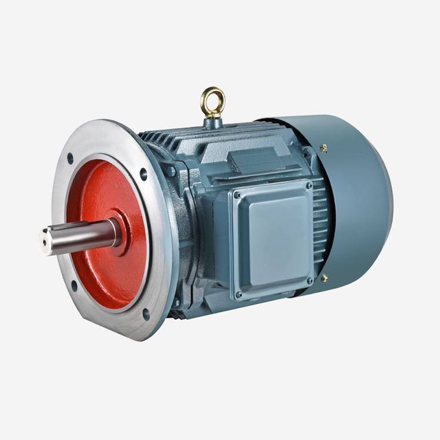 IE1 STANDARD MOTORS