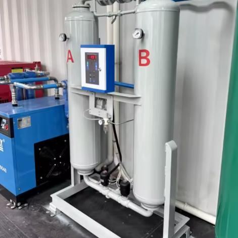 5Nm3/hr 99.99% PSA Nitrogen Generator for Food Packaging and Lab Use