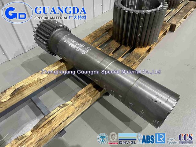 Gear Pinion Shaft Customized Gear Shaft