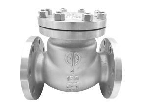 Check valve