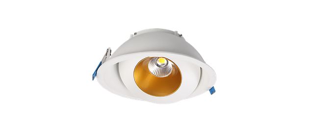 Bowl shape tilted downlight fixture KT6826