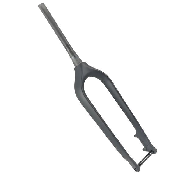 Carbon Forks