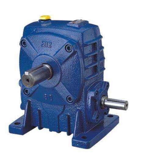 WPS Cast Iron Worm Gear Reducer for Industrial Machinery