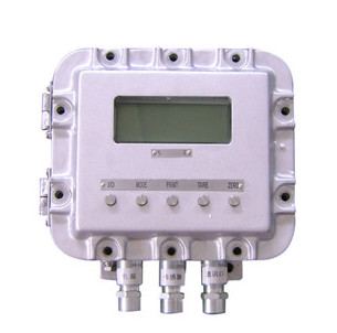 Explosion-proof weighing instrument LZXL-100XD