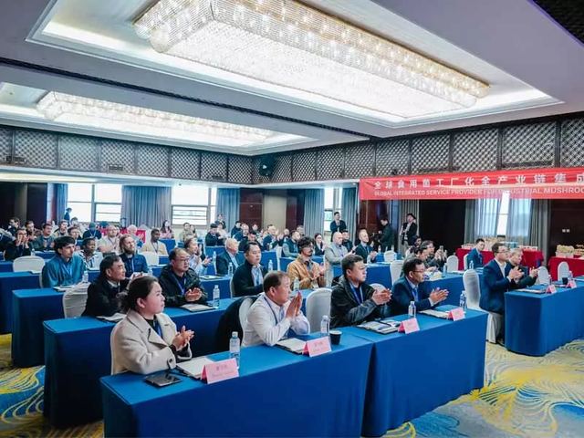 Global Mushroom Innovation: 2026 Conference