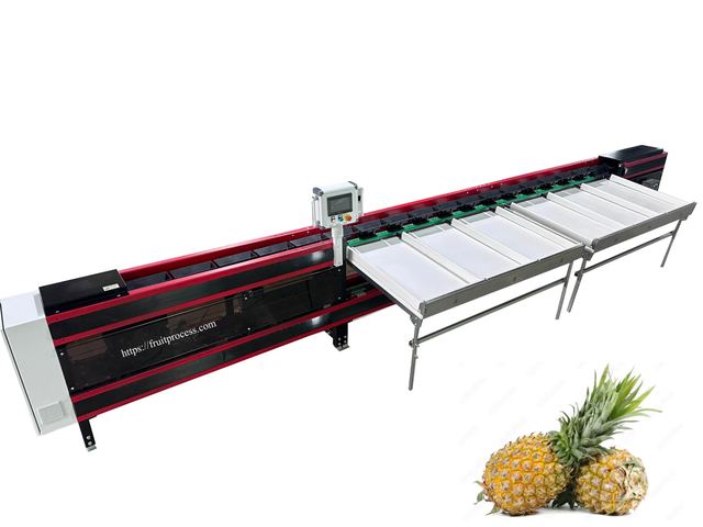 Máquina de clasificación de piñas