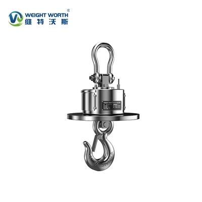 port crane scales