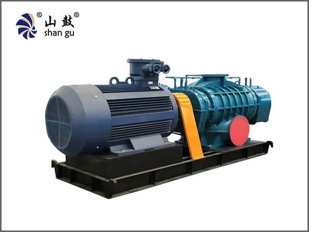 MTRF Series Two-Lobe Roots Blower