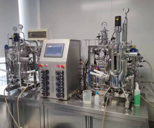 Automatic fermenter Bioreactor 100l Fermenter bacteria Bioreactor steel bioreactor
