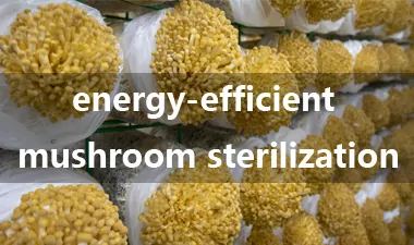 Why Shiitake Bags Burst During Sterilization
