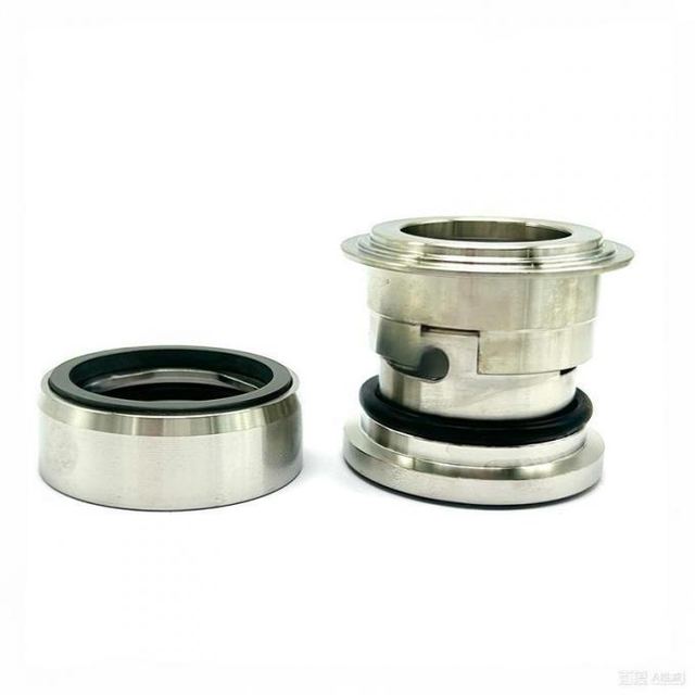 Mechanical Seal SNS1 30MM 40MM 50MM 60MM For SNSS A Type Pumps Silicon Carbide/VIT/SS304