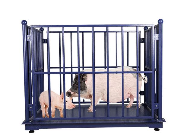 Anti Rust 3000KG Digital Livestock Scales With Fence
