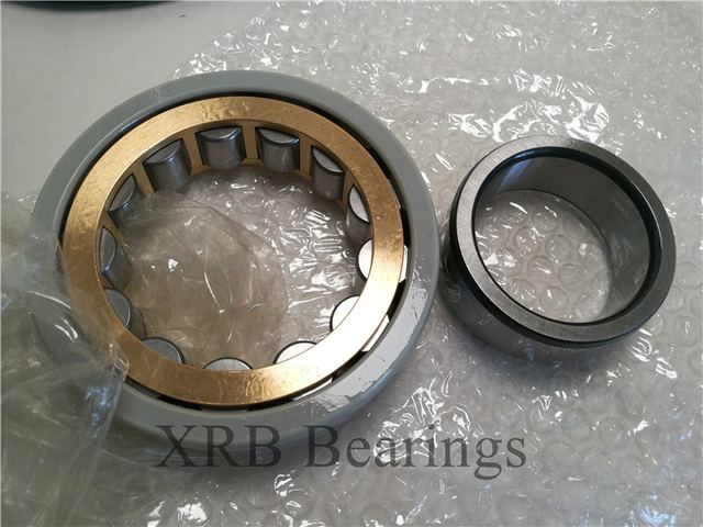 Electrically Insulated Bearing NJ219 ECM/C3VA301 with 95×170×32mm
