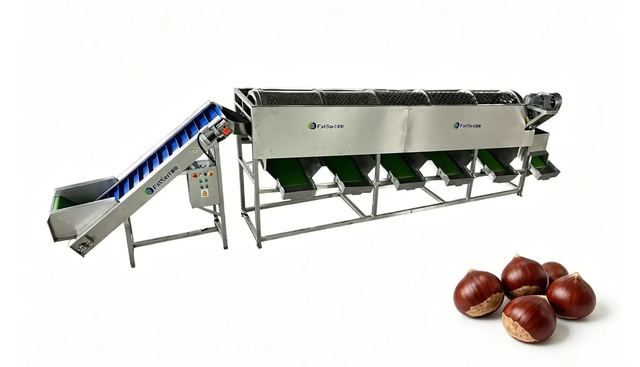 Chestnut sorter