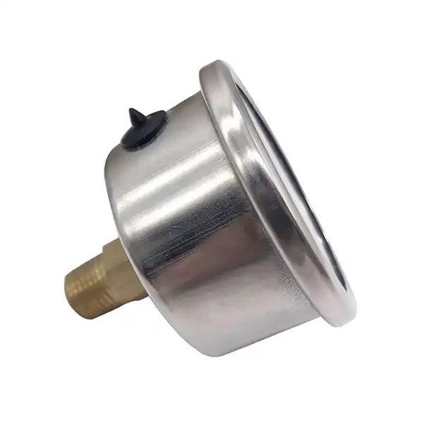 Axial Ss Pressure Gauge