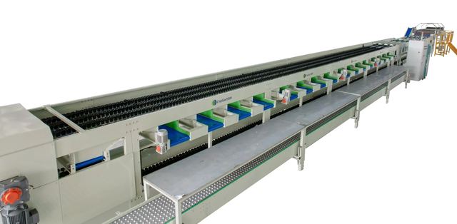 Plums and Apricot Grader