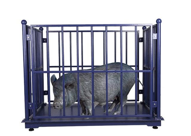 LCD Digital Sheep Weighing Scales , 5T Weight Scale For Cows