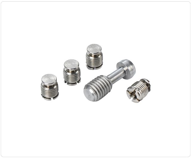 Adjusting Screw