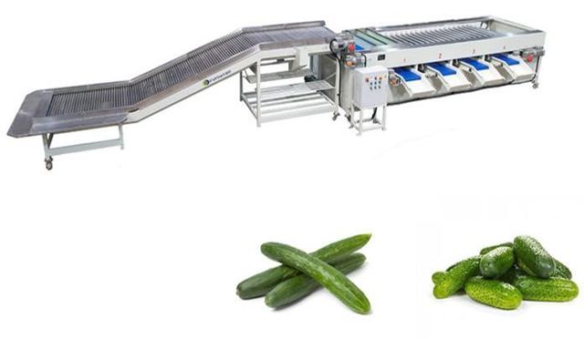 Cucumber Grading Machine
