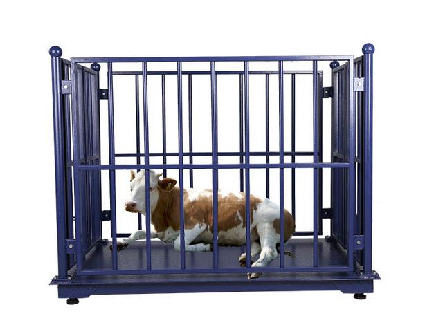 Dynamic ODM 100Kg Weighing Scale For Live Pigs