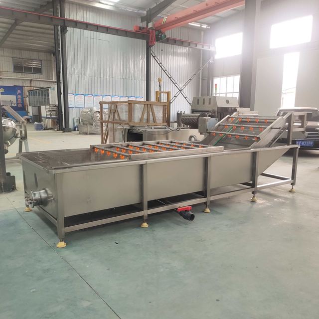 Automatic Air Bubble Washing Machine for Mango Apple Cherry Orange Lemon