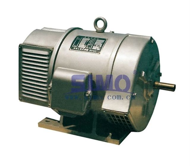DC 220V Motor