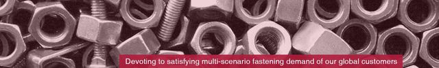 Flange Nuts