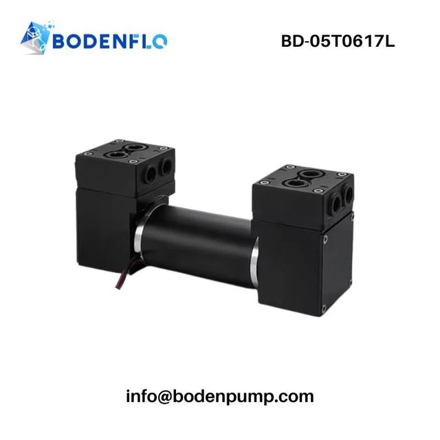 Medical Diaphragm Pump China 17L Dual-Head Small Electric Air Vacuum Pump BD-05T0617L