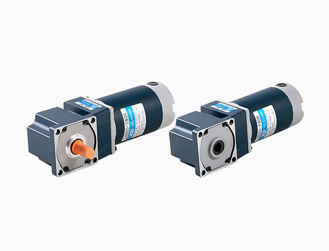 Brush DC Gear Motors