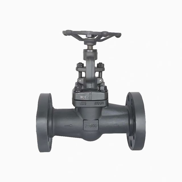 Straight-Pattern Globe Valve